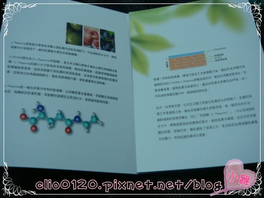 05.JPG