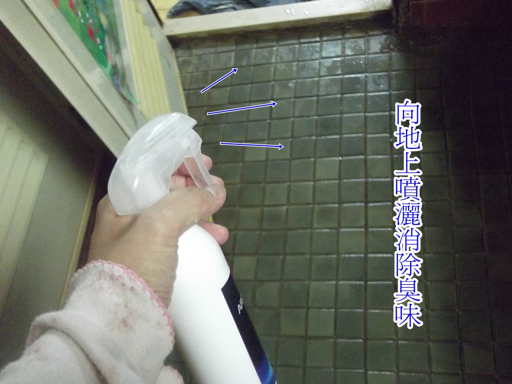 照片 2176.jpg