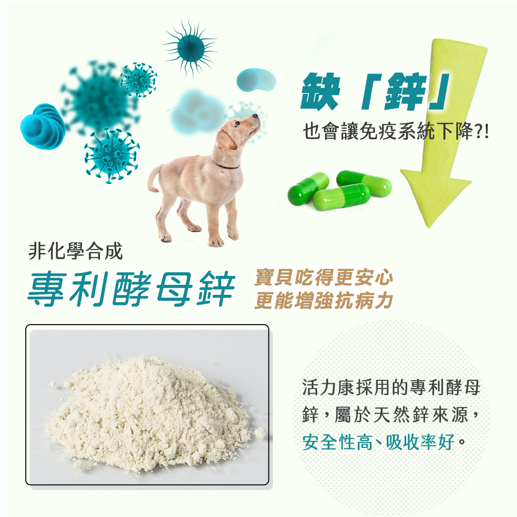 植寵艾尼
