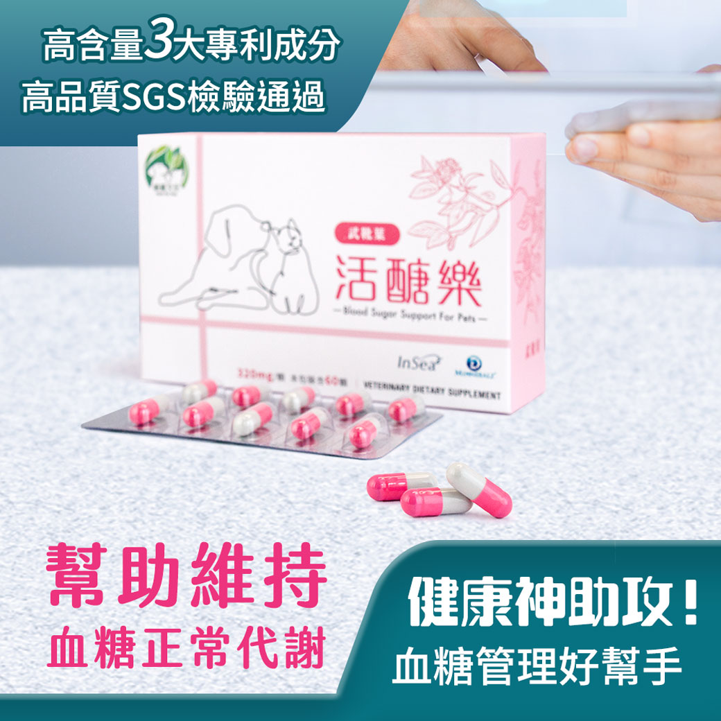 植寵艾尼