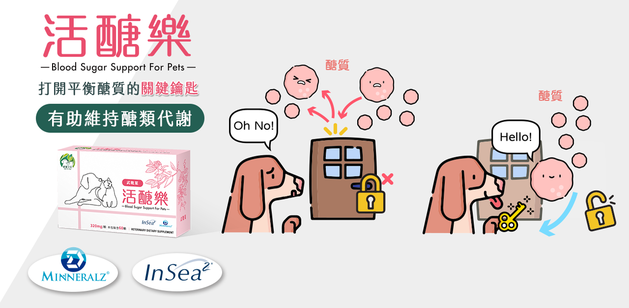 植寵艾尼