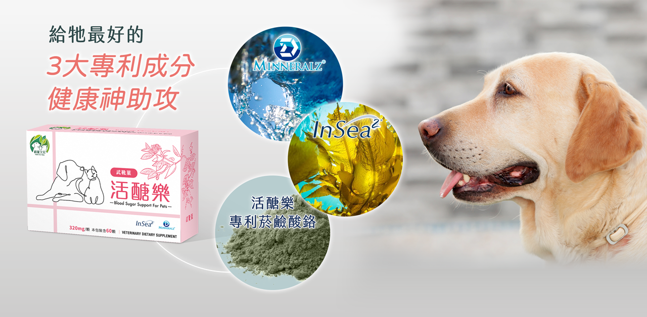 植寵艾尼