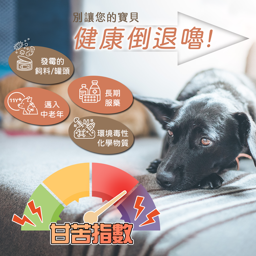 植寵艾尼