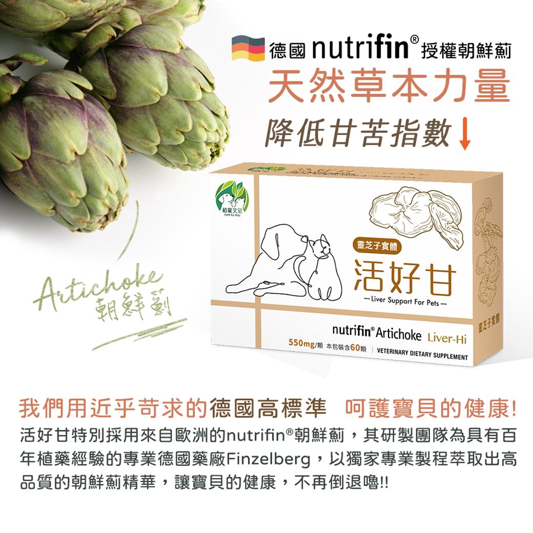 植寵艾尼