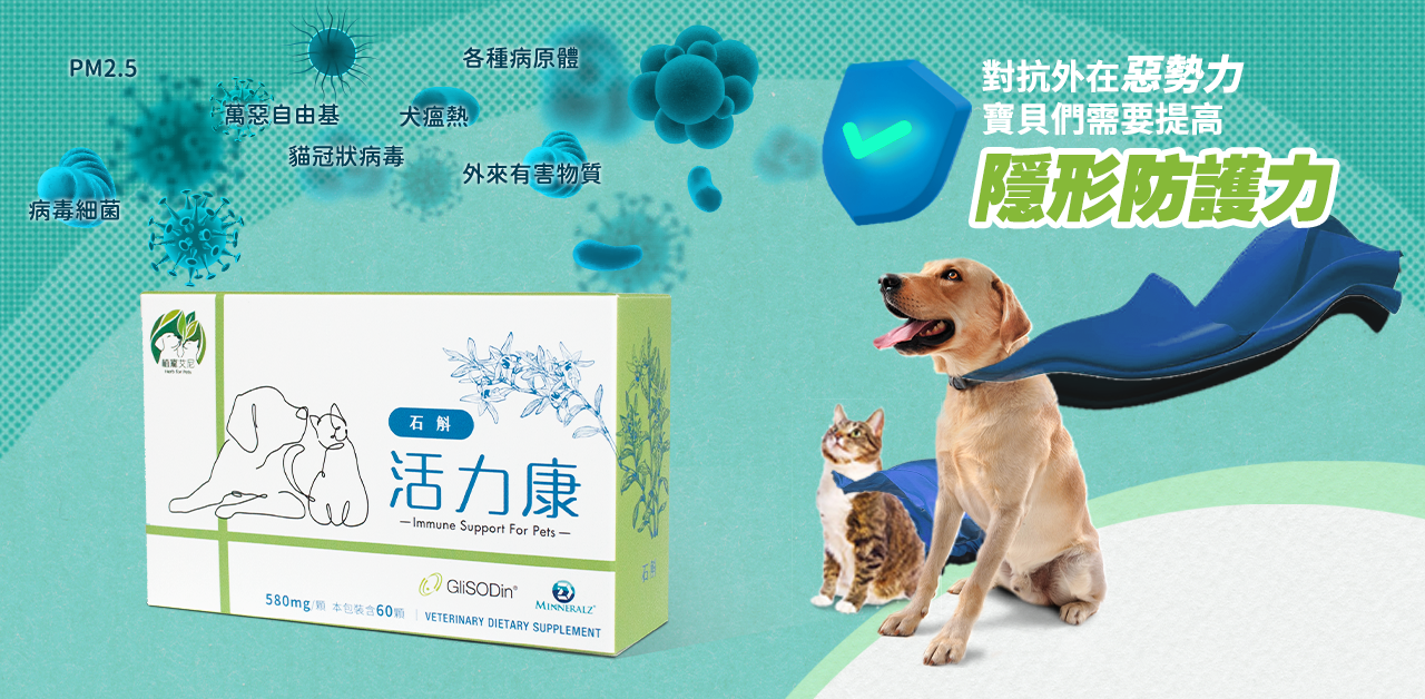 植寵艾尼