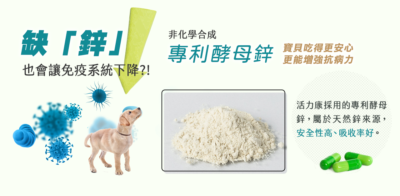 植寵艾尼