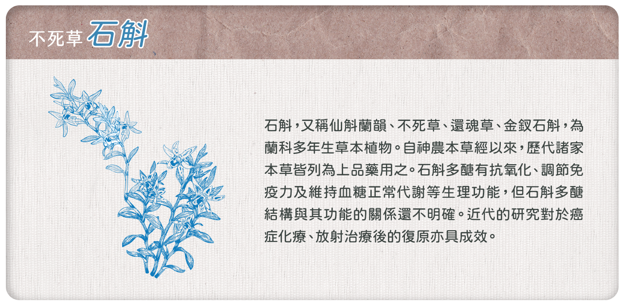 植寵艾尼