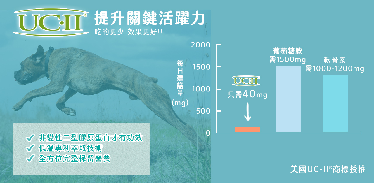 植寵艾尼