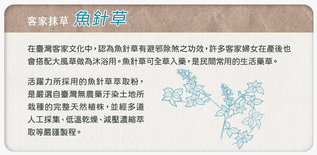 植寵艾尼