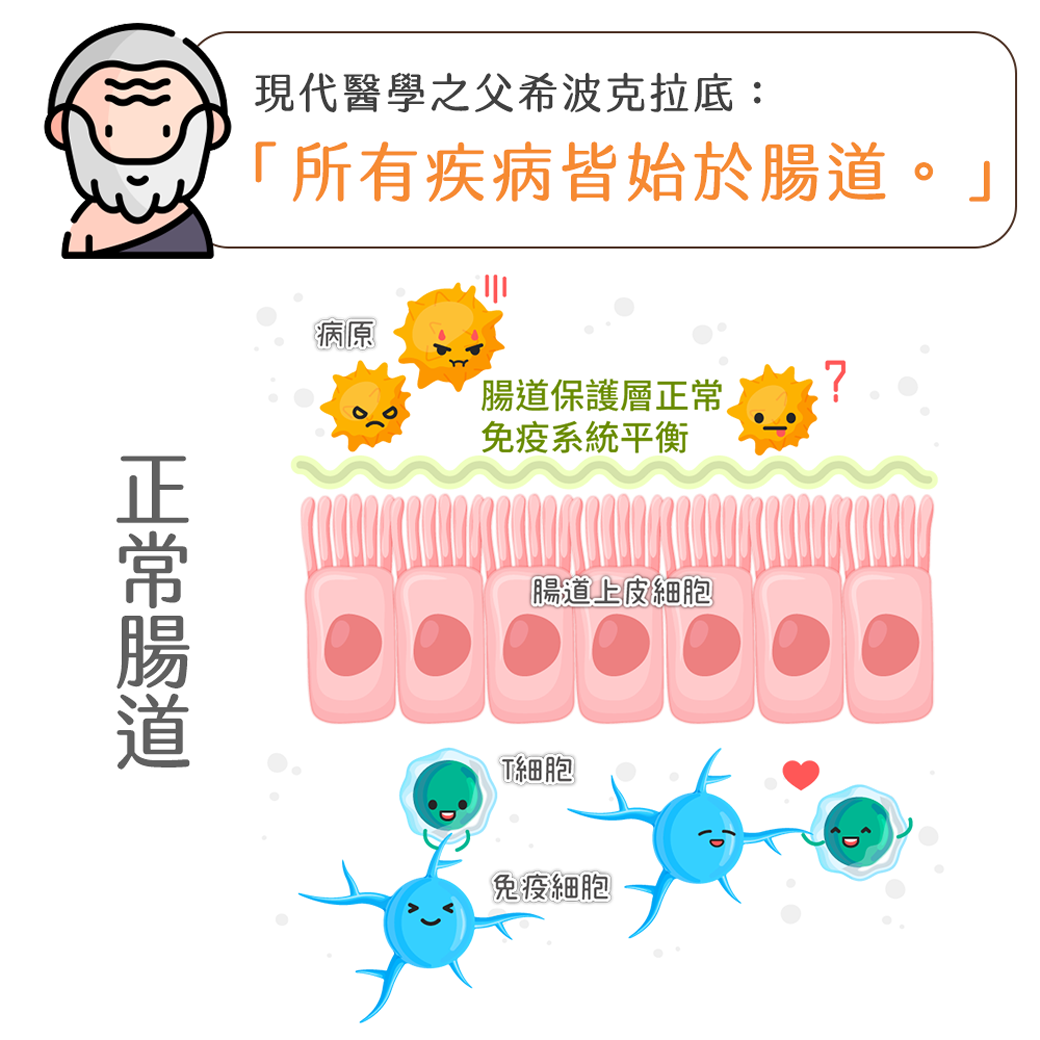 植寵艾尼