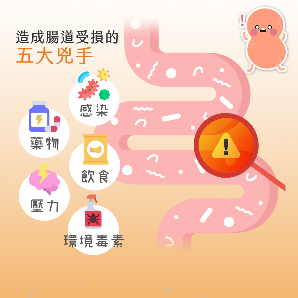 植寵艾尼