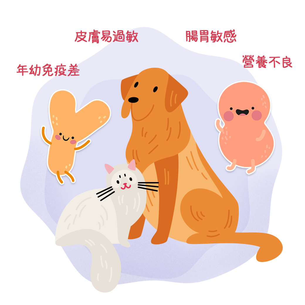 植寵艾尼