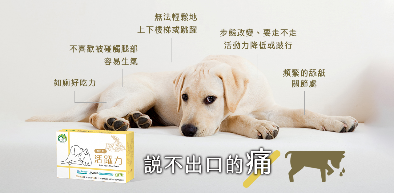 【經典純玩】北京5天4晚跟團遊（天安門廣場+故宮+八達嶺長城+頤和園+天壇+圓明園+北京胡同）